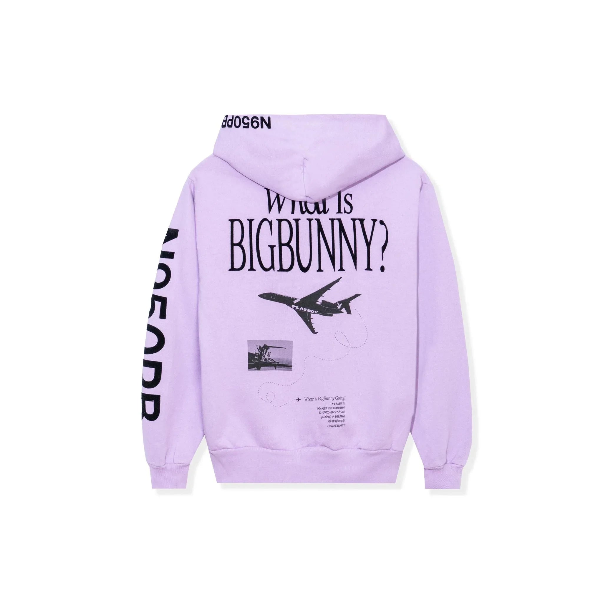 Lilac hoodie with airplane and 'What is Big Bunny?' graphic, aviation-themed streetwear