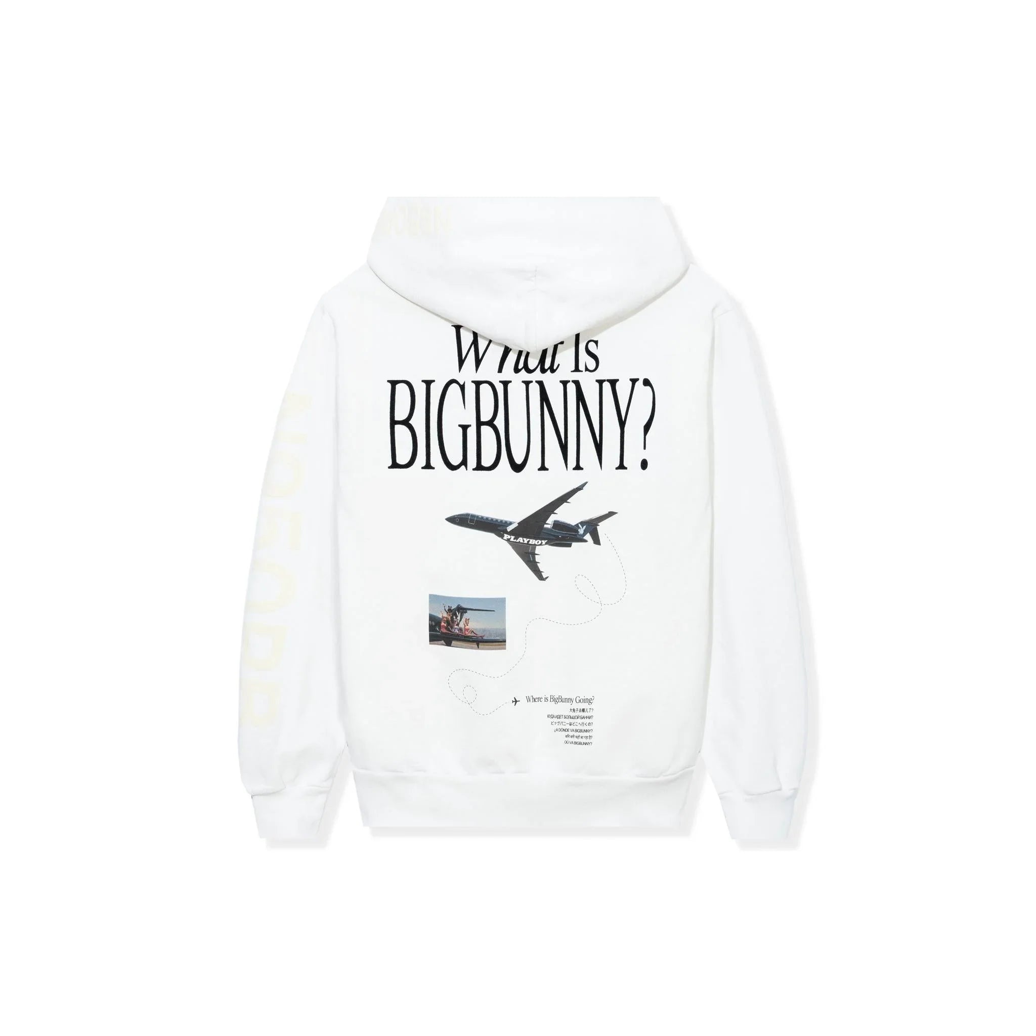 White hoodie with 'What is Big Bunny?' text, airplane graphic, and small photo on the back.