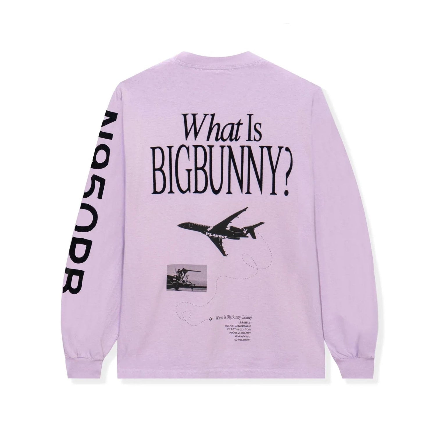 Lavender long sleeve shirt with airplane graphic, text 'What Is BIGBUNNY?' and N950PB sleeve print