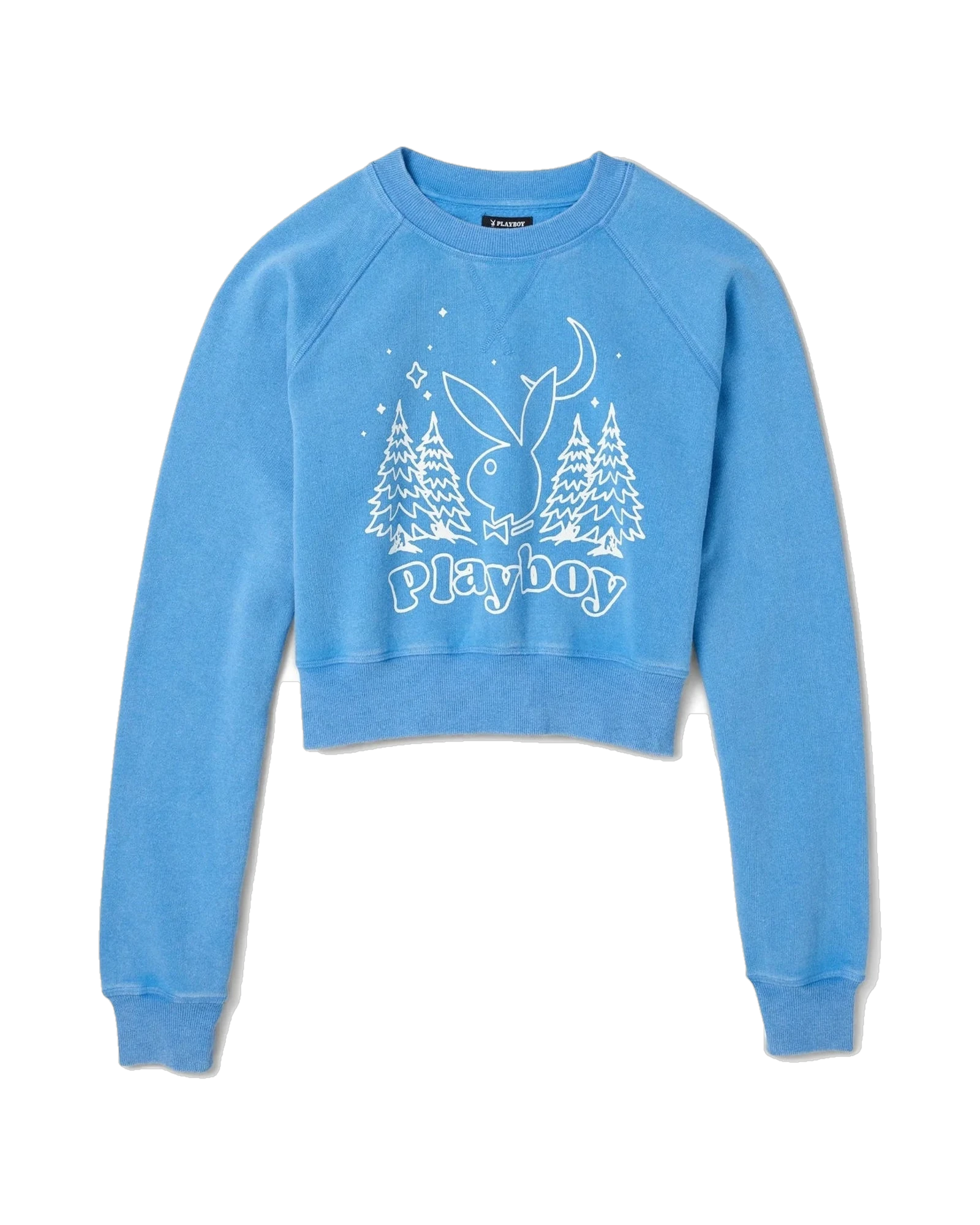 Womens Vintage Raglan Crewneck Sweatshirt