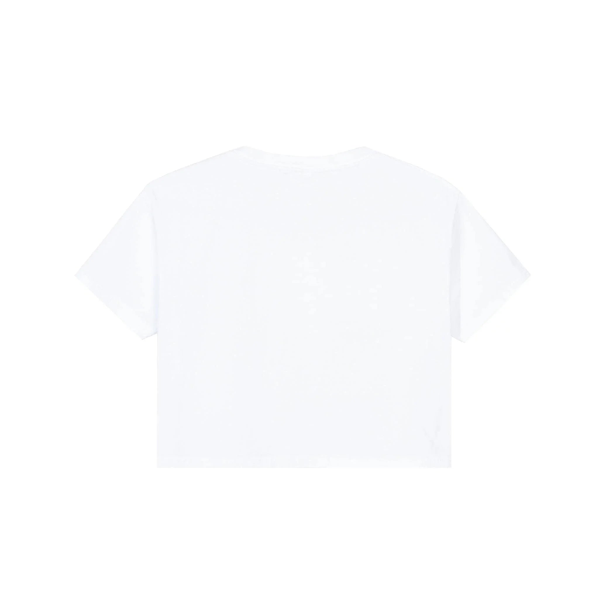 Playboy x Color Bars Static Women's Cropped T-Shirt - Playboy