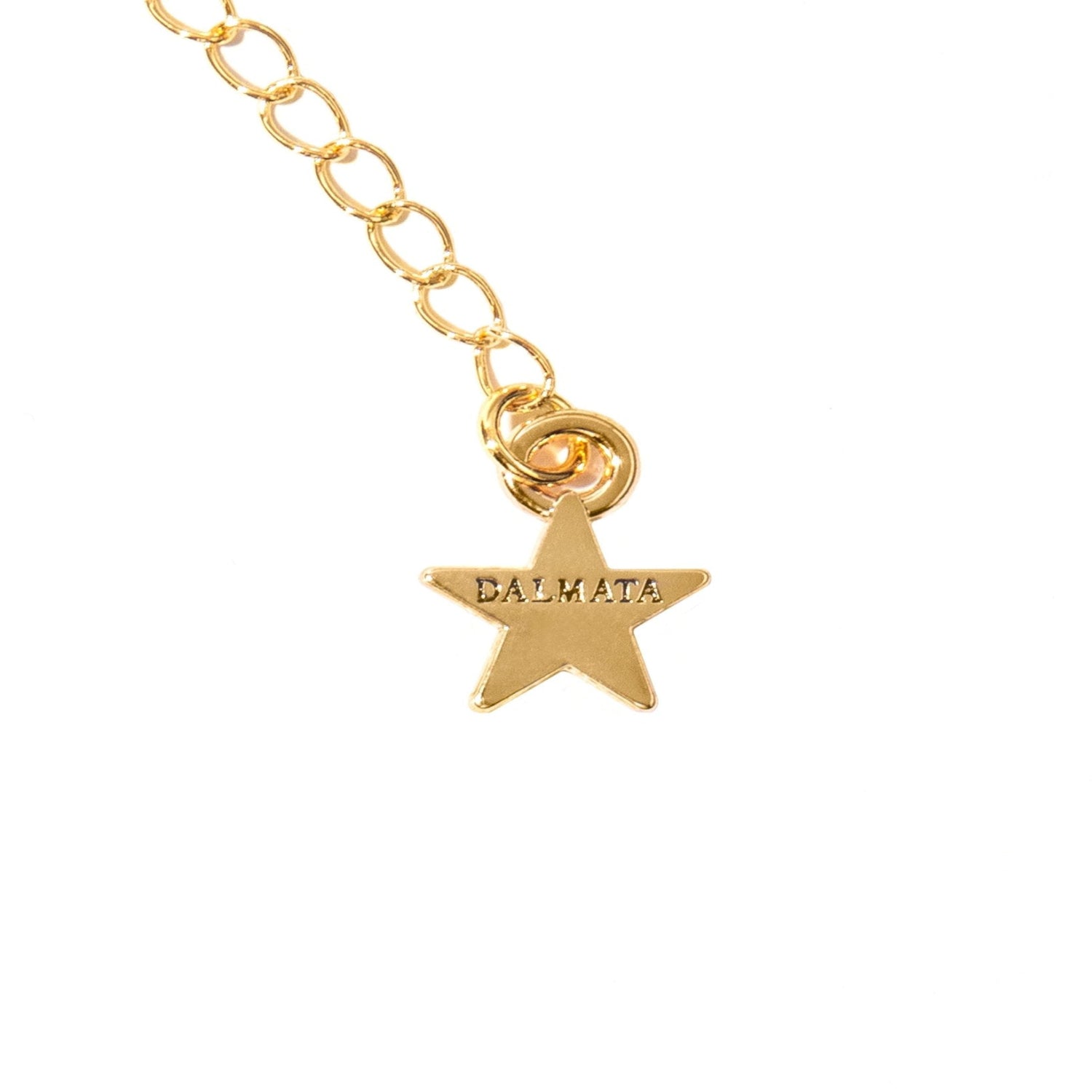 Gold chain with star-shaped pendant engraved with 'DALMATA' on white background