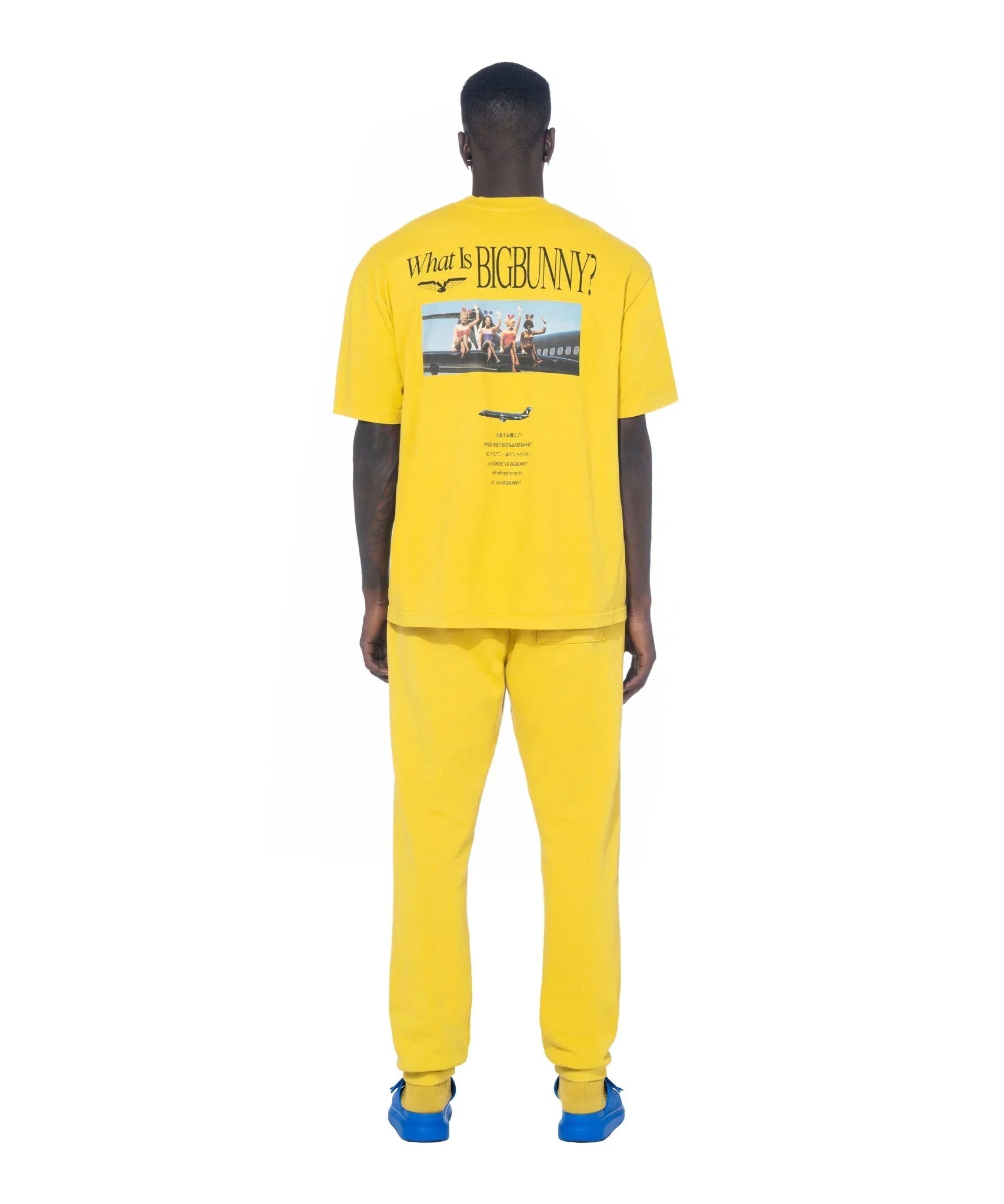 Where is BigBunny Going? T-Shirt - Playboy