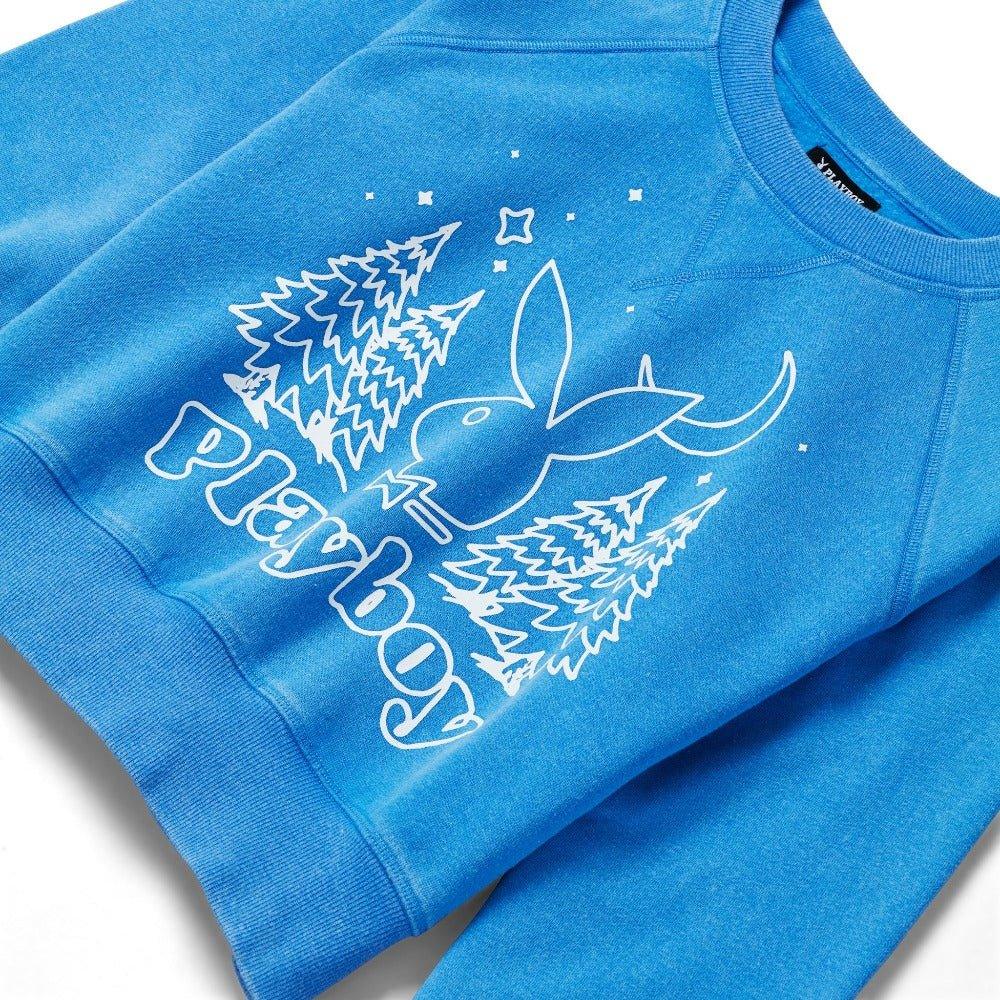 Women's Vintage Raglan Crewneck Sweatshirt - Playboy