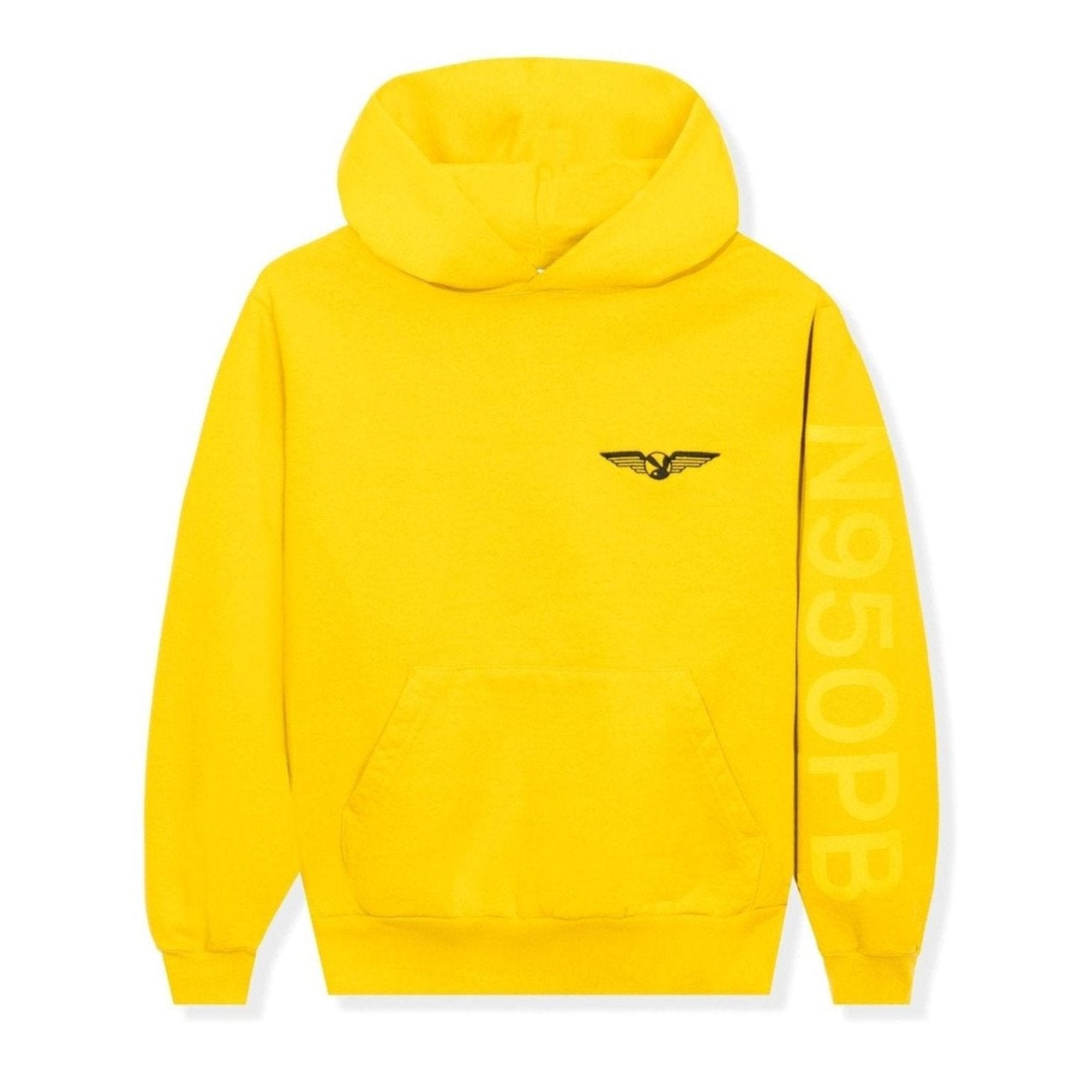 Aviation Wings N950PB Hoodie