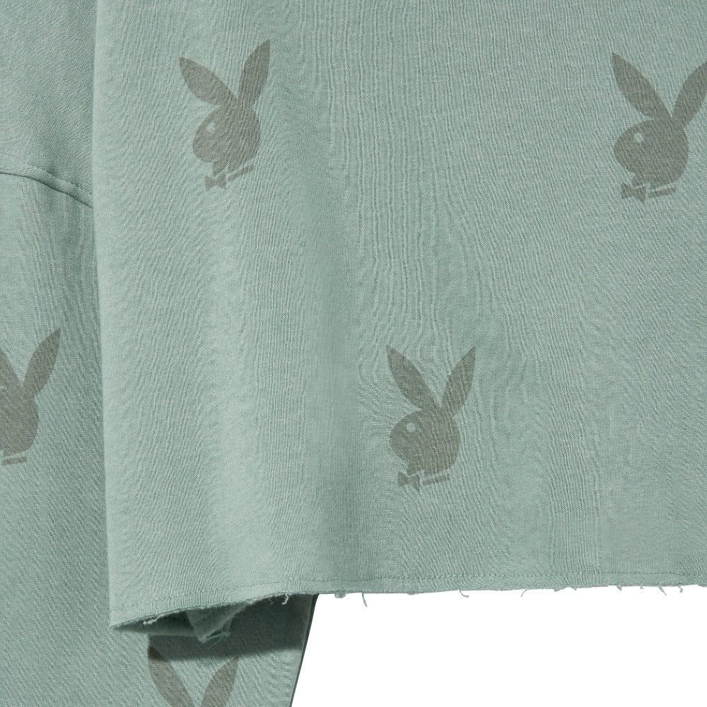 All - Over - Print Cropped Hoodie - Playboy