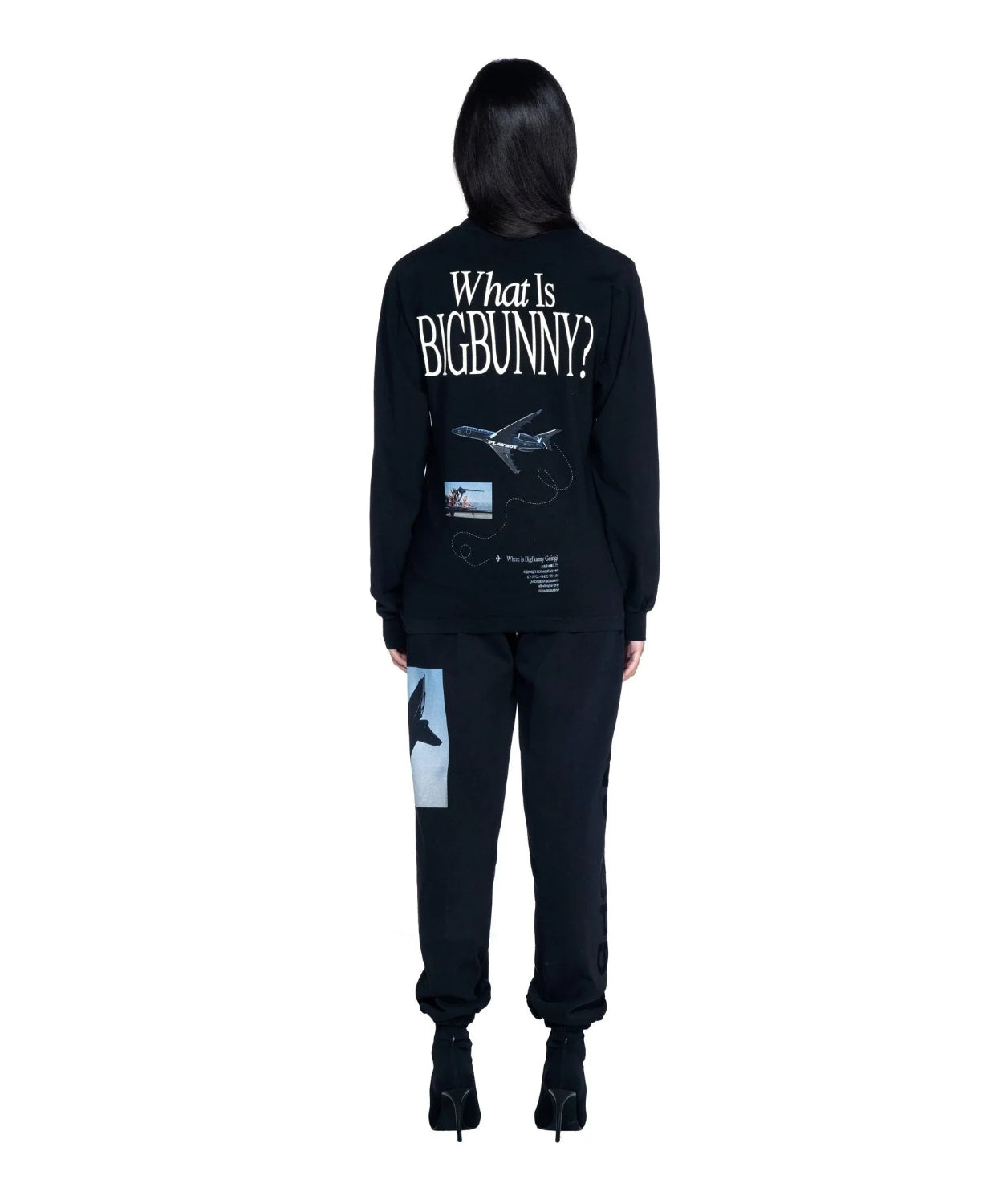 Back view of person wearing black long sleeve shirt with 'What Is Big Bunny?' and airplane graphic