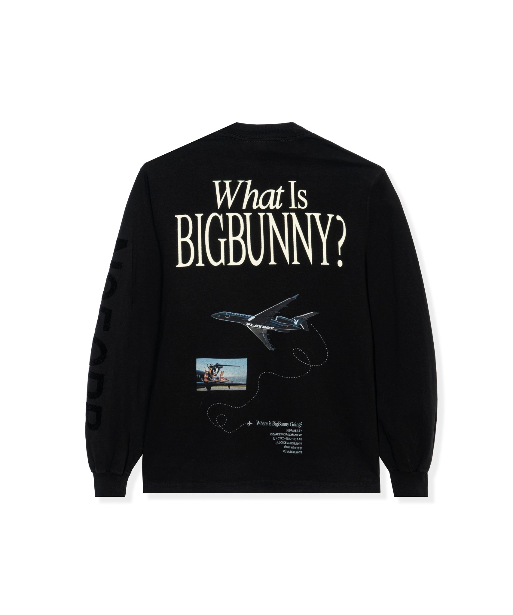 Aviation Wings N950PB Long Sleeve T-Shirt - Playboy