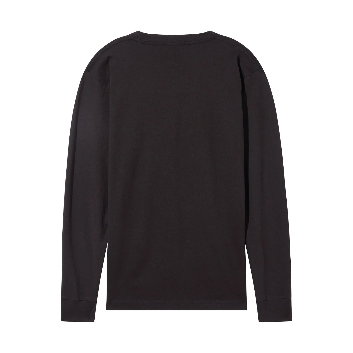 Back view of black long sleeve t-shirt, plain design, classic crew neck