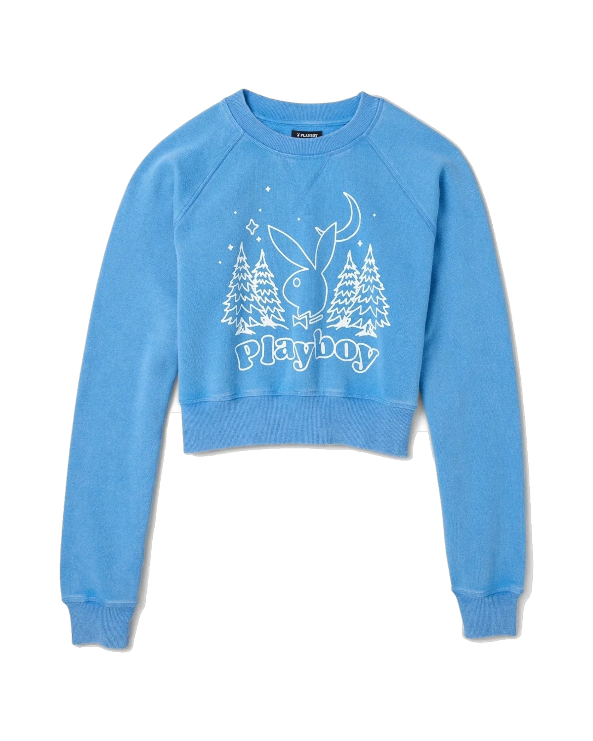 Womens Vintage Raglan Crewneck Sweatshirt