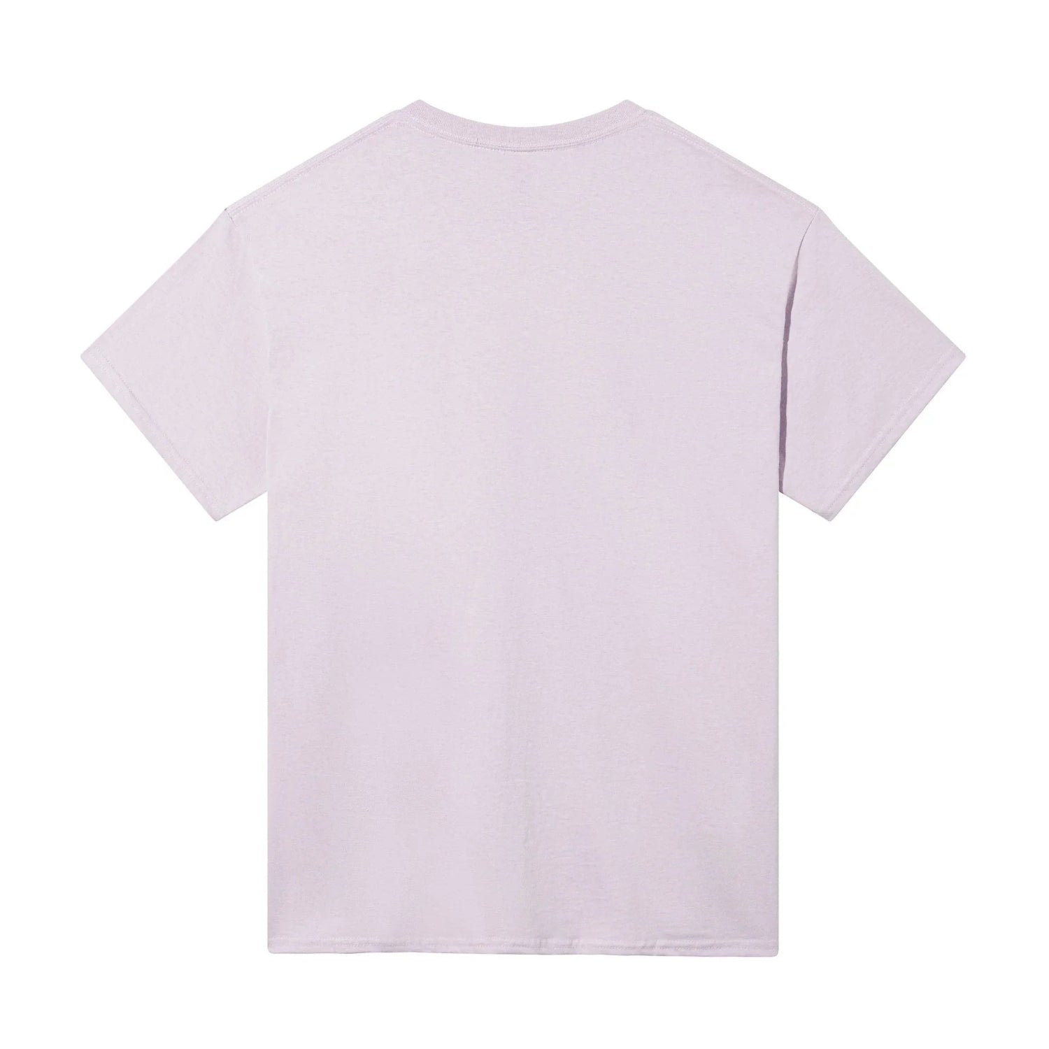 Back view of a plain light lavender short sleeve t-shirt on white background
