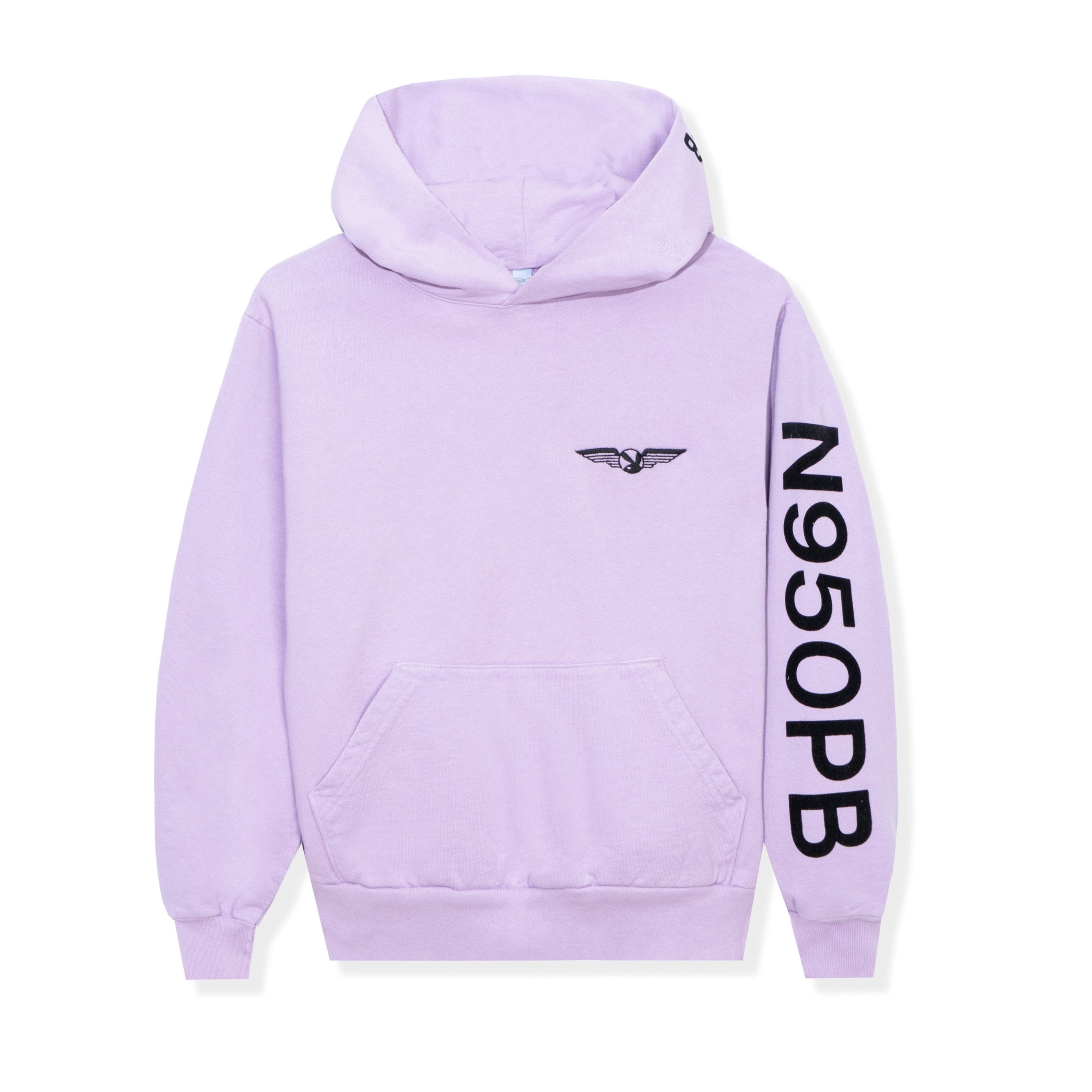 Aviation Wings N950PB Hoodie