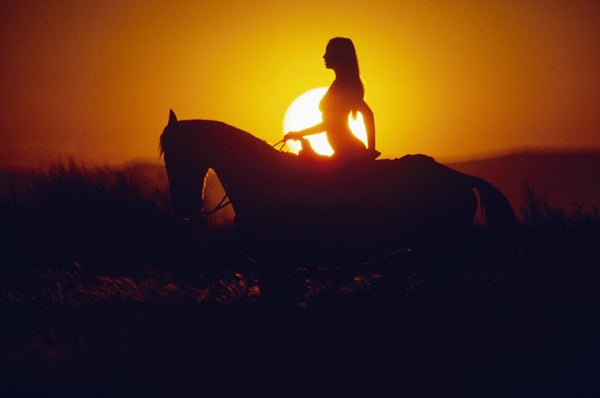 Playboy Playmates | T-Shirts, Books, Playboy Clothing | Playboy