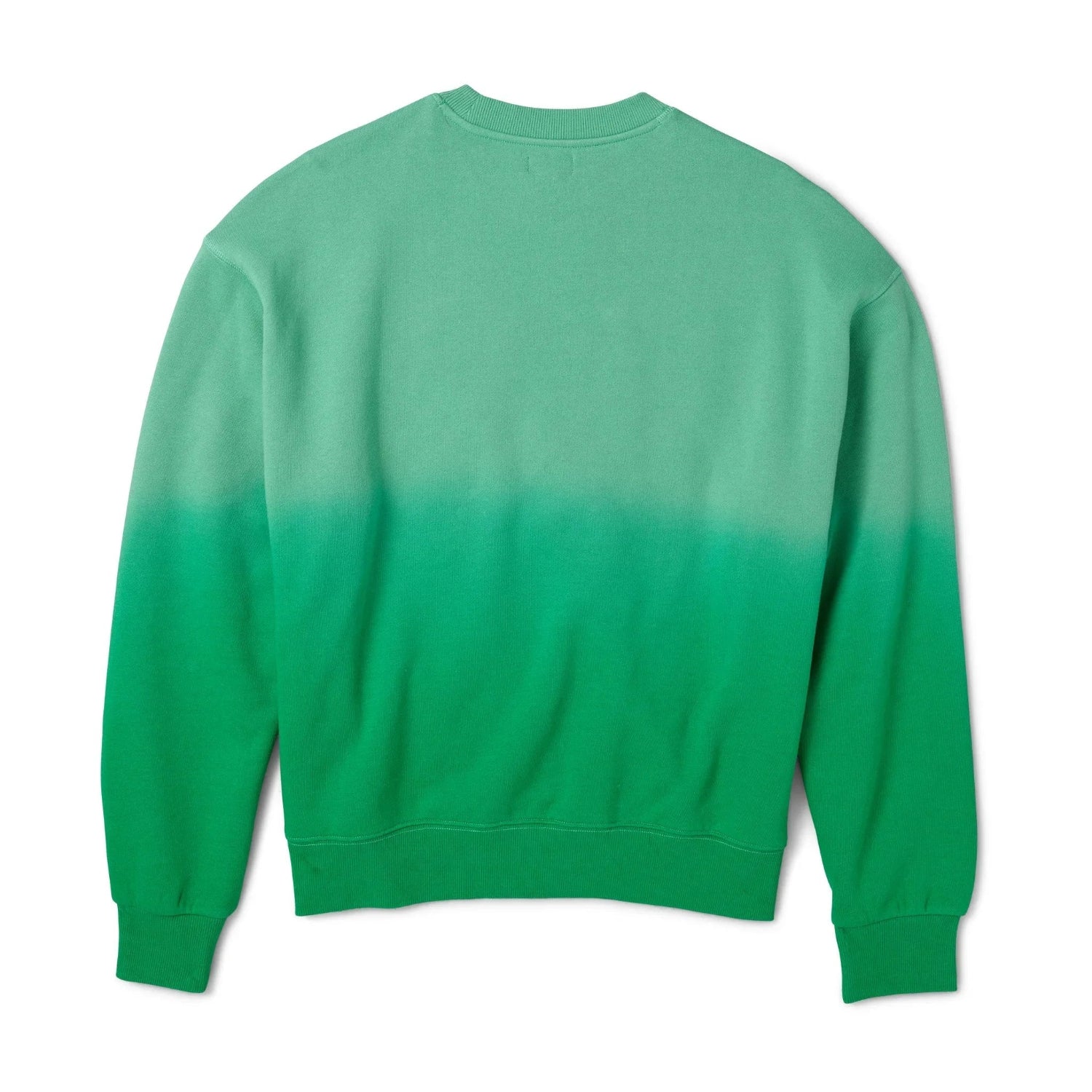 Back view of green gradient crew neck sweatshirt for women on white background